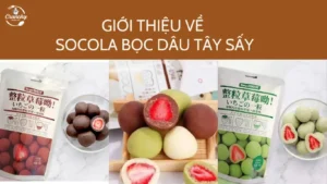 Hướng Dẫn Cách Làm Socola Bọc Dâu Tây Sấy Cho Dịp Lễ 08/03